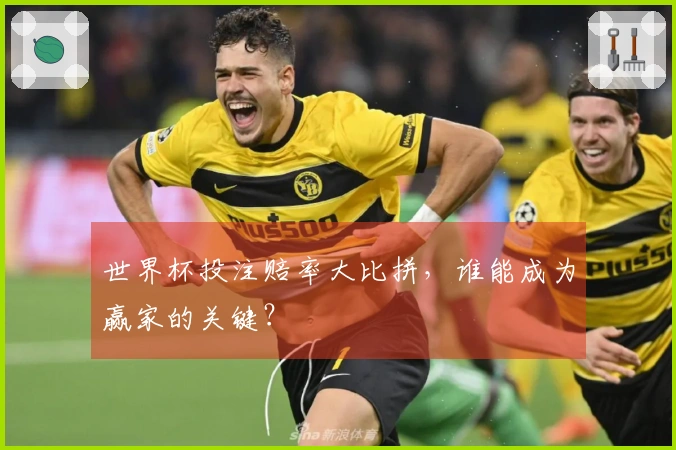 世界杯投注赔率大比拼，谁能成为赢家的关键？