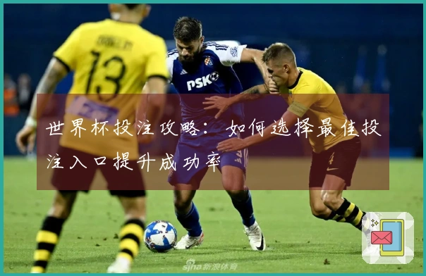 世界杯投注攻略：如何选择最佳投注入口提升成功率
