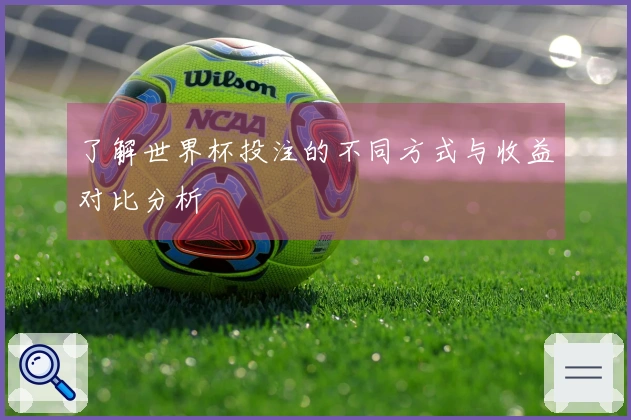 了解世界杯投注的不同方式与收益对比分析