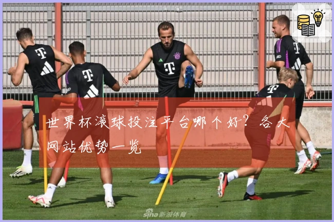 世界杯滚球投注平台哪个好？各大网站优势一览