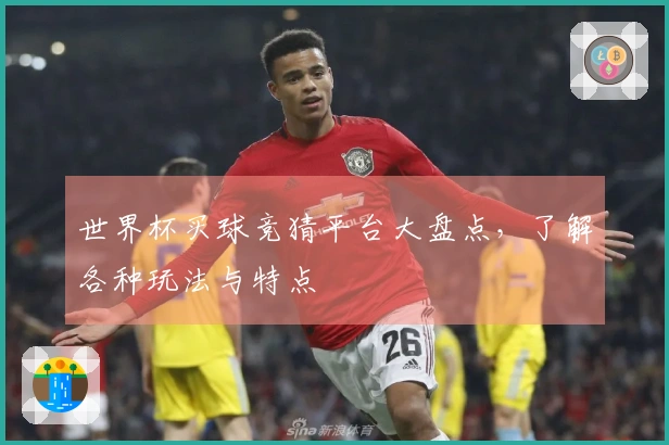 世界杯买球竞猜平台大盘点，了解各种玩法与特点