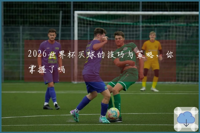 2026世界杯买球的技巧与策略，你掌握了吗