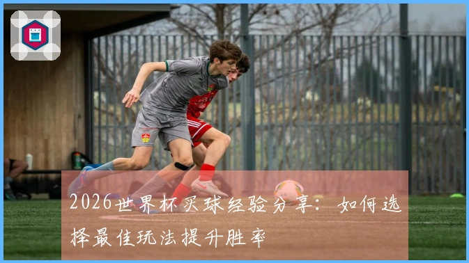 2026世界杯买球经验分享：如何选择最佳玩法提升胜率