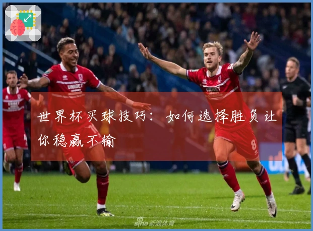 世界杯买球技巧：如何选择胜负让你稳赢不输