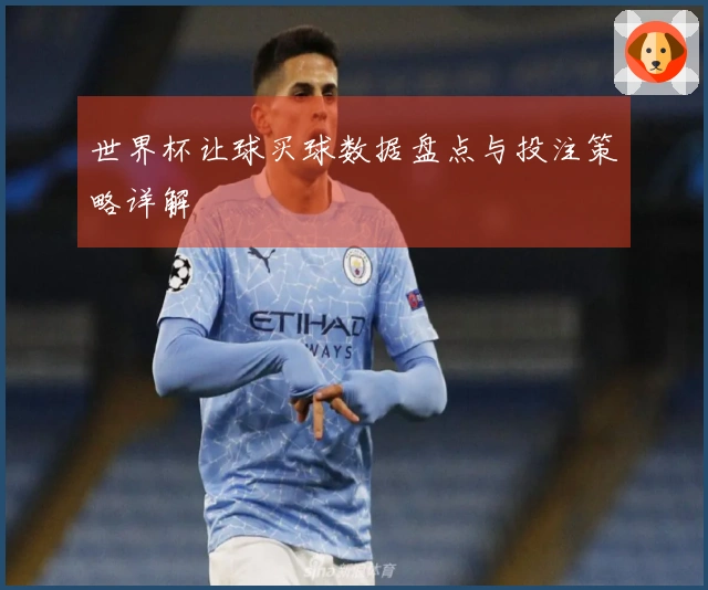 世界杯让球买球数据盘点与投注策略详解