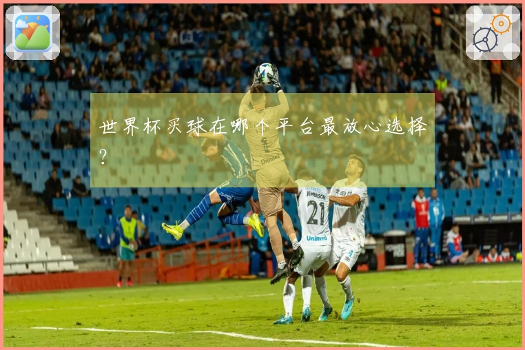 世界杯买球在哪个平台最放心选择？