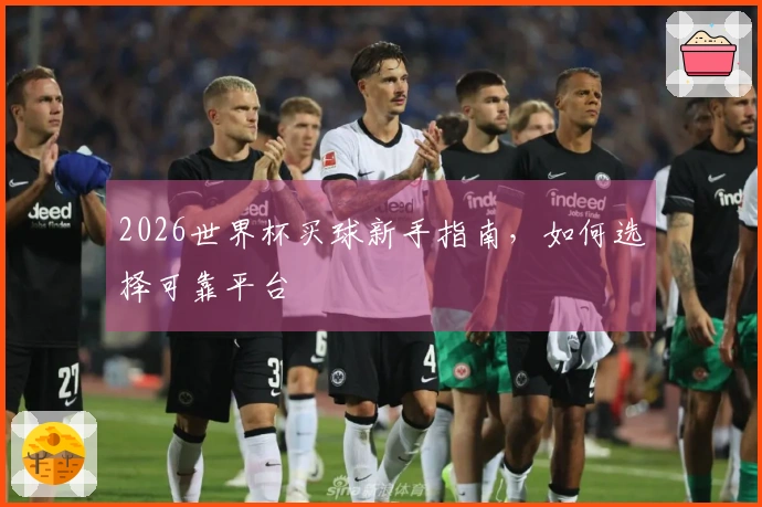 2026世界杯买球新手指南，如何选择可靠平台