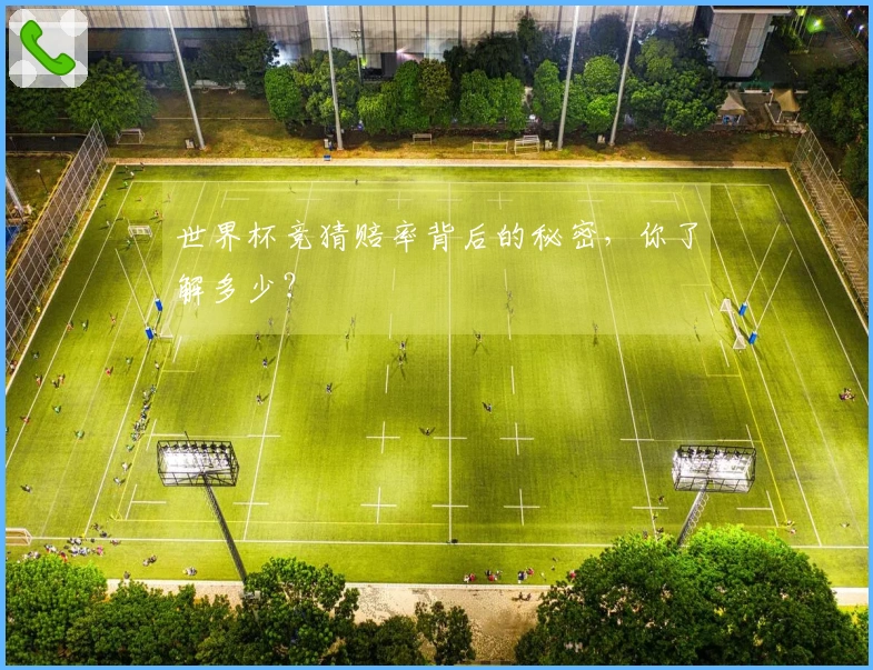 世界杯竞猜赔率背后的秘密，你了解多少？