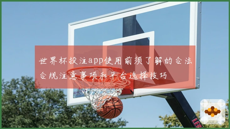 世界杯投注app使用前须了解的合法合规注意事项和平台选择技巧