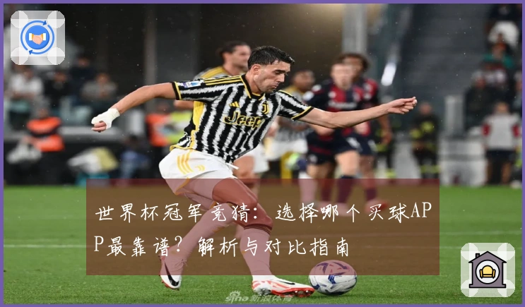 世界杯冠军竞猜：选择哪个买球APP最靠谱？解析与对比指南