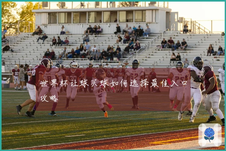 世界杯让球买球如何选择最佳入口攻略