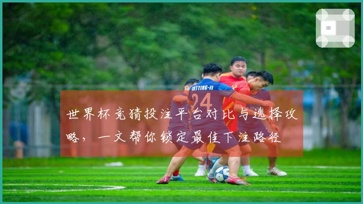 世界杯竞猜投注平台对比与选择攻略，一文帮你锁定最佳下注路径