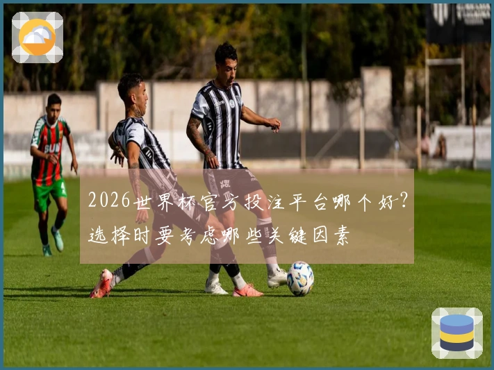 2026世界杯官方投注平台哪个好？选择时要考虑哪些关键因素