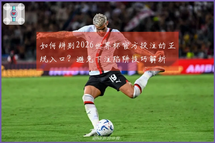 如何辨别2026世界杯官方投注的正规入口？避免下注陷阱技巧解析