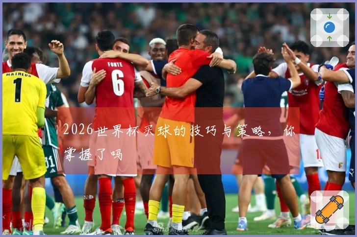 2026世界杯买球的技巧与策略，你掌握了吗