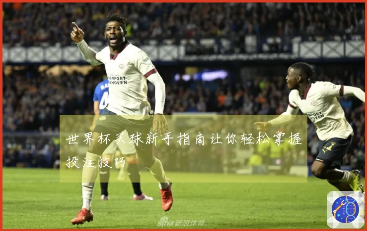 世界杯买球新手指南让你轻松掌握投注技巧