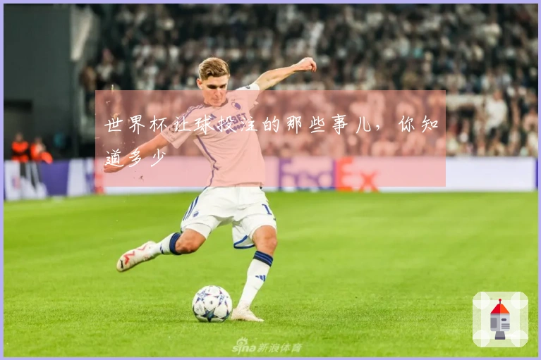 世界杯让球投注的那些事儿，你知道多少