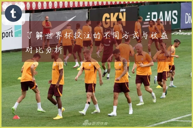 了解世界杯投注的不同方式与收益对比分析
