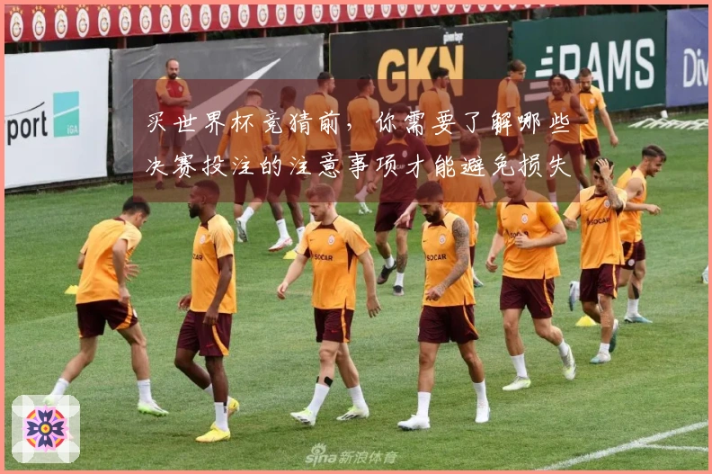 买世界杯竞猜前，你需要了解哪些决赛投注的注意事项才能避免损失？